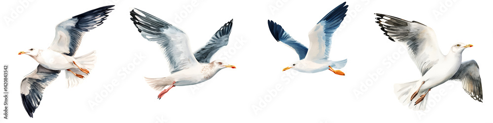 Obraz premium Graceful seagulls in flight over the open ocean
