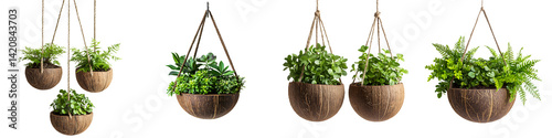 Hanging green plants in wicker baskets