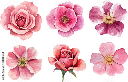 Wallpaper Mural Botanical Watercolor Pink Rose – Romantic Wedding Element Torontodigital.ca