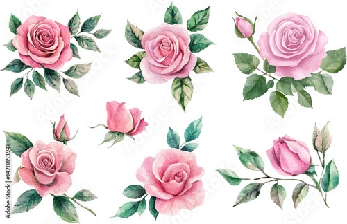 Botanical Watercolor Pink Rose