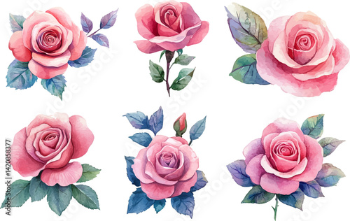 set of roses vector illustration