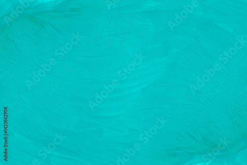 Beautiful  green turquoise vintage color trends feather pattern texture pastel background