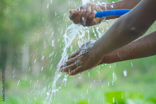 A farmer’s hands hold a water hose, its flow directed to nourish the vegetable seedling nursery