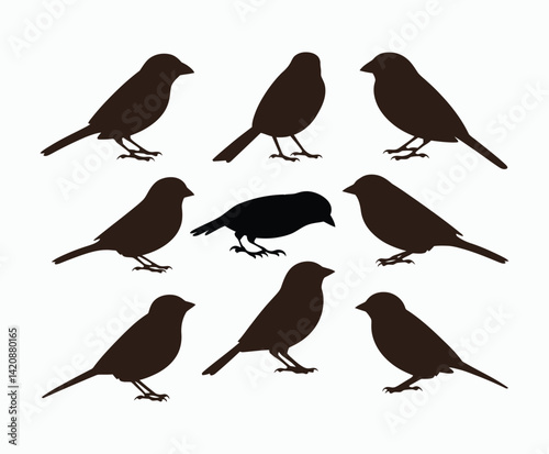 Minimal Sparrow Bird Silhouette Set EPS Template