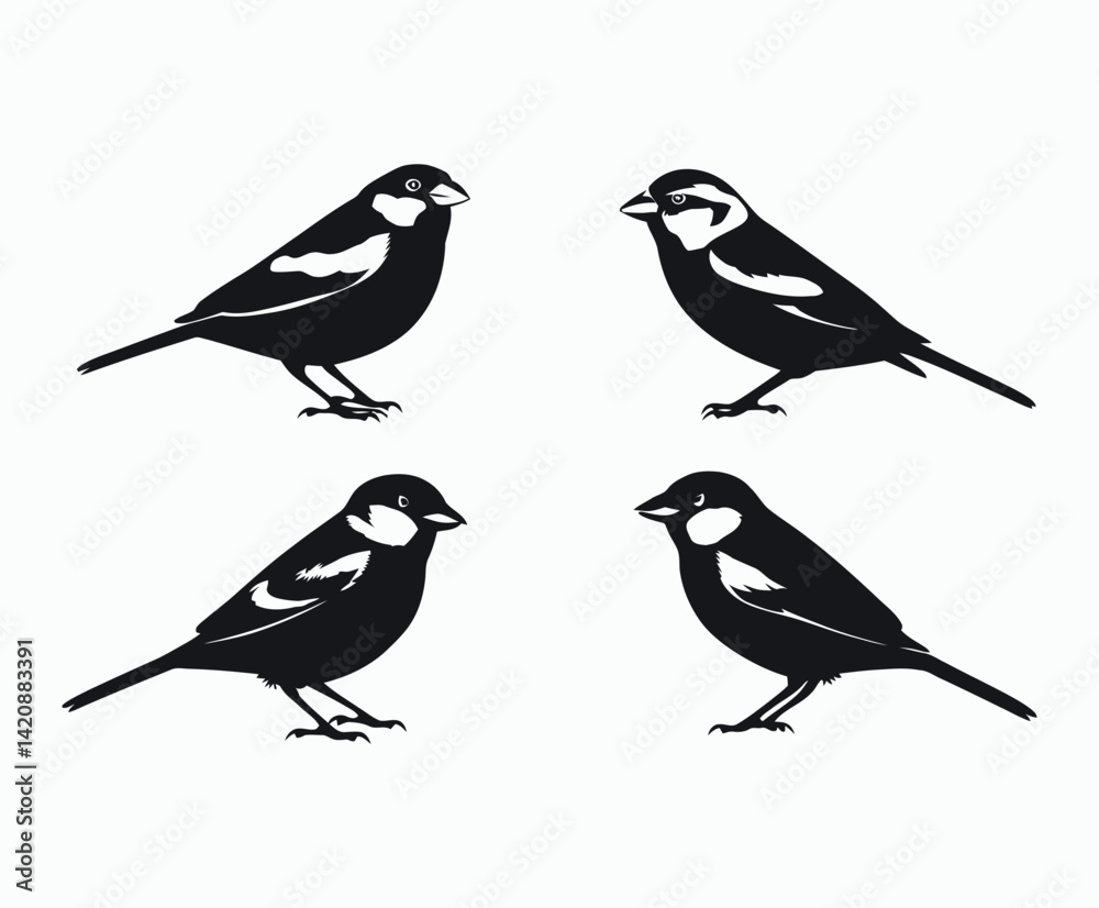 Fototapeta premium Sparrow Bird Silhouette Collection Vector Template