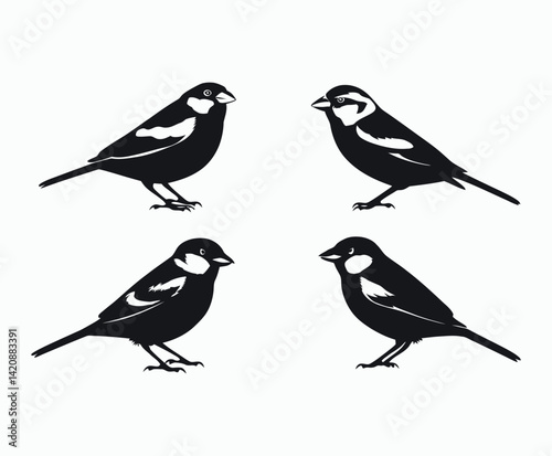 Wallpaper Mural Sparrow Bird Silhouette Collection Vector Template Torontodigital.ca