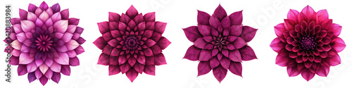 Blazing star flower botanical mandala