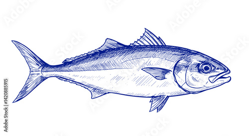 Yellowtail Fish (Hamachi) Yellow Tail suitable for menu or any purposes, in Sketch Vector Style illustration Easy to recolor and resize
