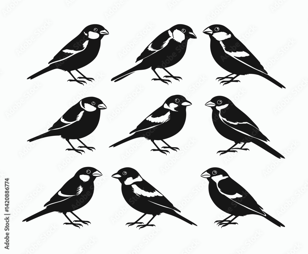 Fototapeta premium Sparrow Bird Silhouette EPS Template on a White Background