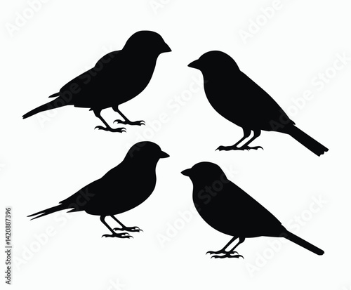Wild Sparrow Bird Silhouette Collection Vector Template Illustration