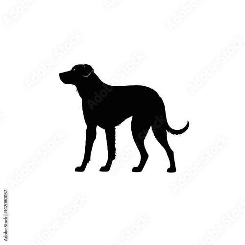 black silhouette of a dog