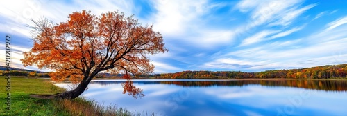 autumn landscape with natural seasonal change in leaves color on trees