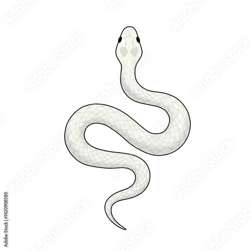 Wallpaper Mural White snake, top view, white background. Torontodigital.ca