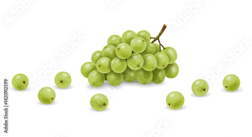A bunch of green grapes with scattered loose grapes on a white surface