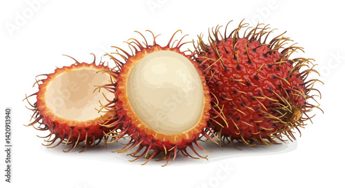 Three exotic spiky rambutan fruits One halved to reveal the creamy flesh on a white backdrop