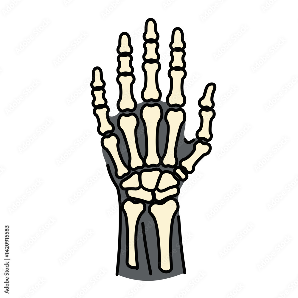Fototapeta premium Anatomical skeleton hand illustration on a plain background