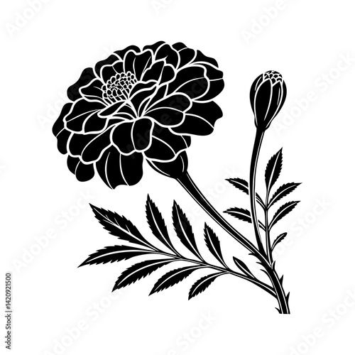 Silhouette of a marigold flower with petals and bud on the stem vector illustration