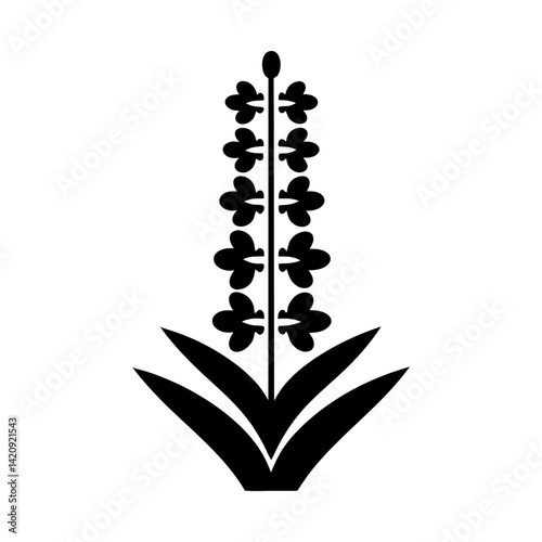 
Silhouette icon of lavender flowers with leaves vector illustration