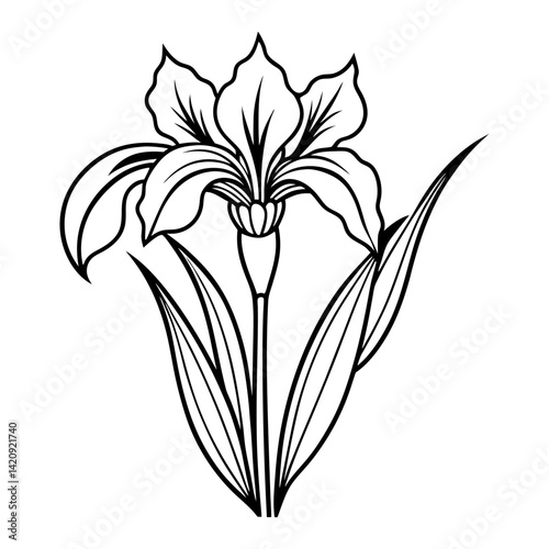 
Line art of an iris flower with pointed petals and long leaves vector illustration