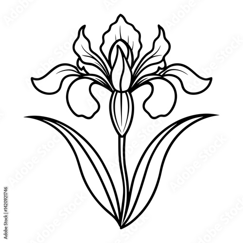 
Line art of an iris flower with pointed petals and long leaves vector illustration