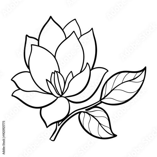 
Line art of a magnolia flower with layered petals and large leaves vector illustration