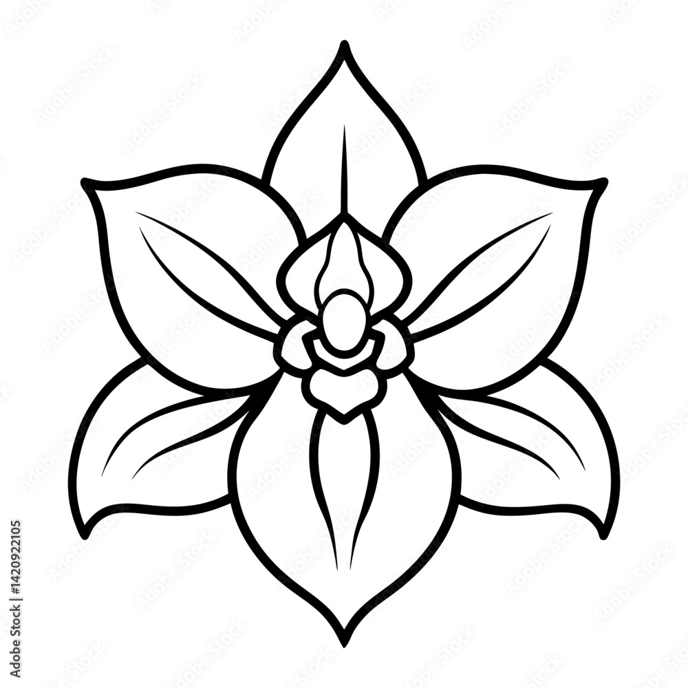 Fototapeta premium Line art bof an orchid flower with buds and curved stem vector illustration