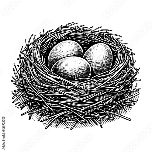 Bird nest sketch engraving black and white outline. Scratch board imitation.  illustrated in vintage line art style on a white background.