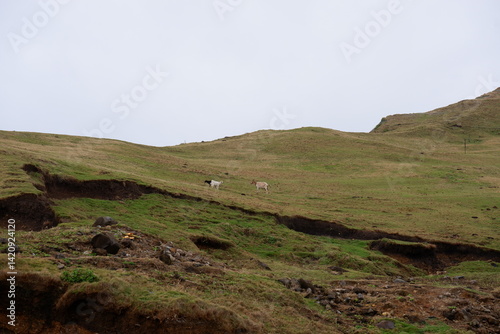 Alapad Hills and Rock Formation, Batan Island, Batanes, Philippines