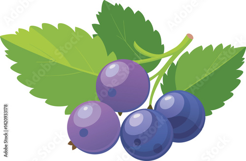 A vibrant vector art illustration showcasing delicious, ripe currants with rich colors and realistic details, perfect for culinary and nature-themed designs.