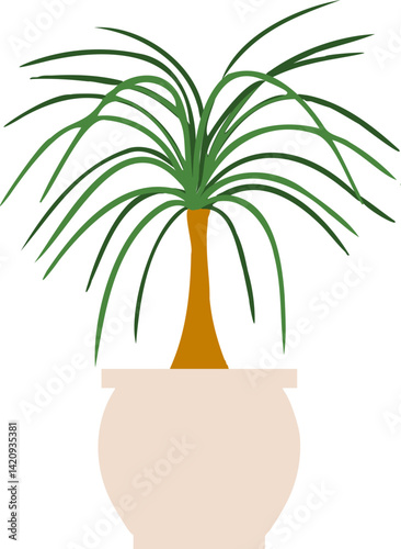 Houseplant Indoor potted plant ponytail palm illustration