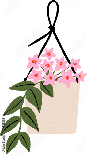 Houseplant Indoor hanging potted plant hoya illustration