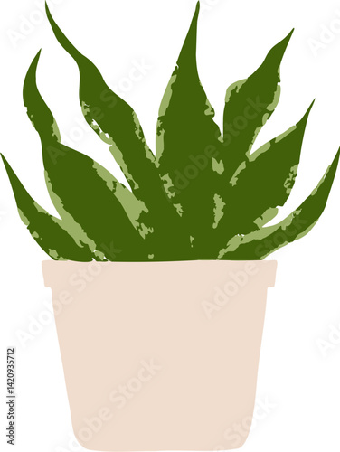Houseplant Indoor potted plant sansevieria whitney illustration