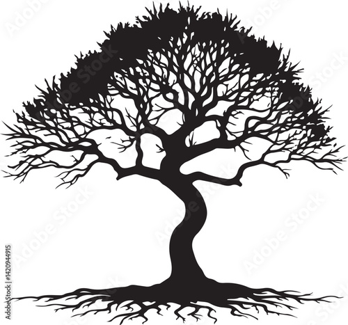Tree silhouette 