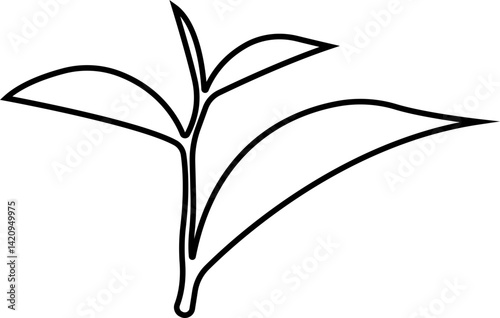 Tea Leaf icon in line botany, bio, organic, vegetarian, fresh, nature design leaves isolated on transparent background