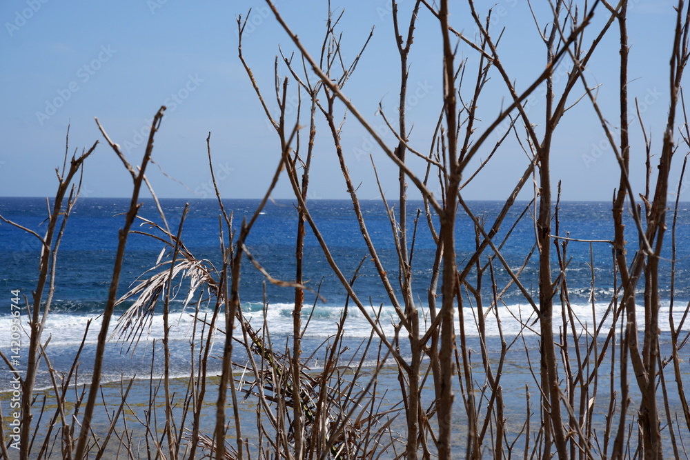 Fototapeta premium Beautiful Seascape of Sabtang Island, Batanes, Philippines