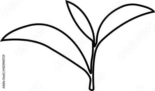 Tea Leaf icon in line botany, bio, organic, vegetarian, fresh, nature design leaves isolated on transparent background