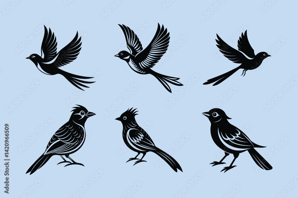 Obraz premium Flame-throated Bulbul bird, silhouette vector illustration