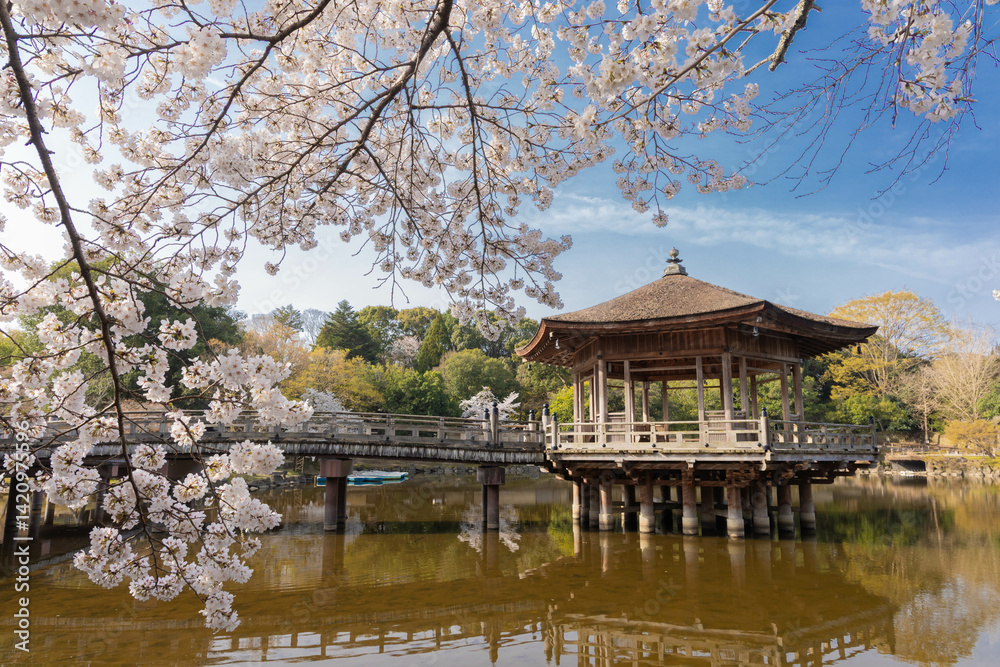 Naklejka premium 奈良公園 浮見堂と桜 横位置 1