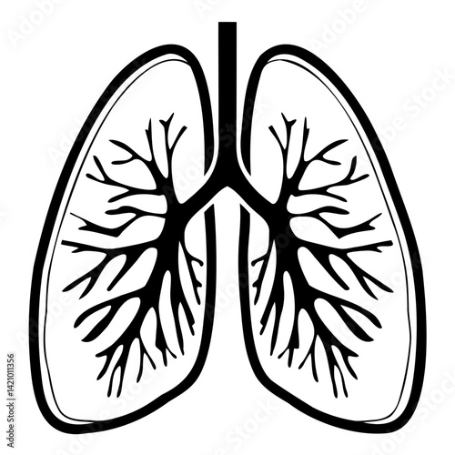 Lungs Side View Silhouette PNG – High-Quality on Transparent Background