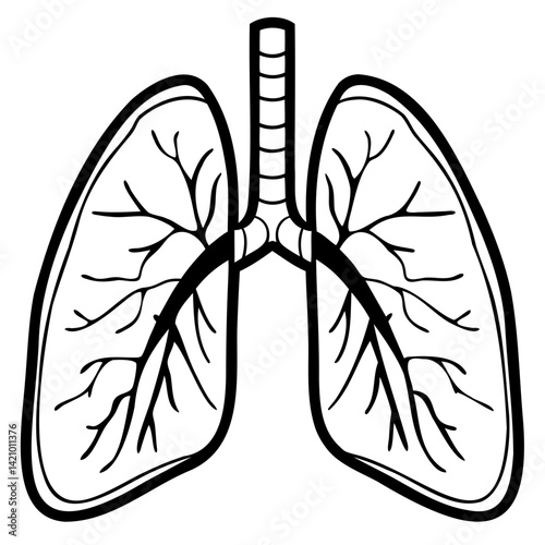 Black silhouette of a  lungs side view isolated on transparent background