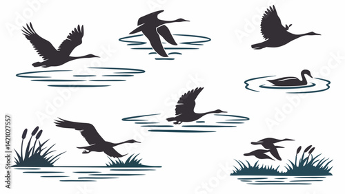 Wildlife Black Silhouette Swans and Geese Flying Swimming Landing on Water Reeds Vector Set
