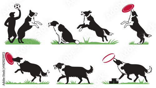 Black and White Border Collie Dog Frisbee Play Vector Art