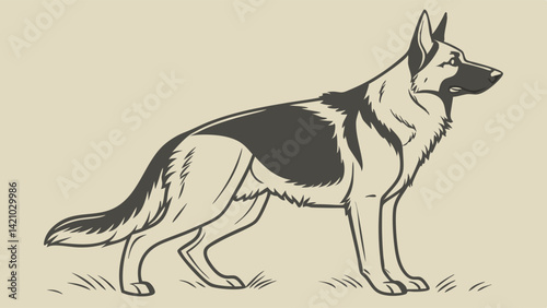 Detailed Vintage Style German Shepherd Dog Drawing Standing Side Profile Illustration Sketch