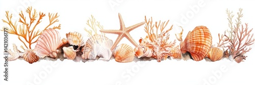 Seashell and Coral Border
