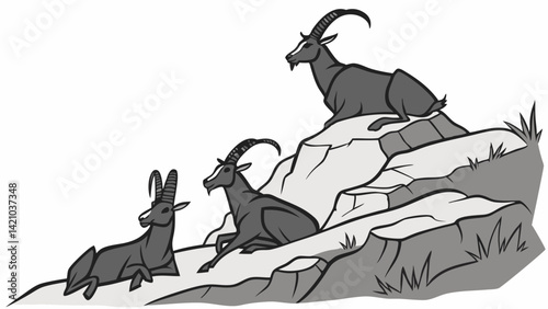 Alpine Ibex on Rocky Mountain Black White Art