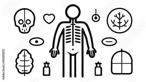 Editable line icons of human body elements including organ systems, body parts, and anatomy illustrations for health, wellness, and medical education platforms