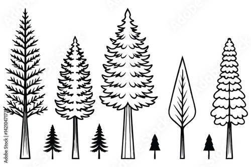 Sequoia Tree Types Illustration on White Background