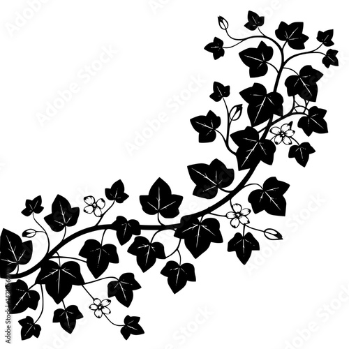 Elegant Black and White Ivy Vine Design with Flowers