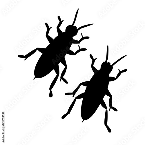 vector silhouette of a black beetle