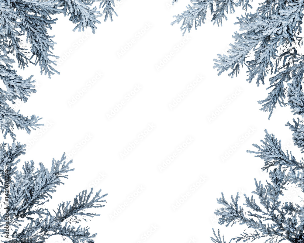 Obraz premium Silver-Blue Frosted Pine Branches Frame on Transparent Background, PNG